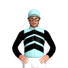 Jockey Silk