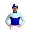 Jockey Silk
