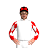 Jockey Silk