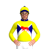 Jockey Silk