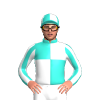 Jockey Silk