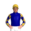 Jockey Silk