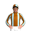 Jockey Silk