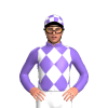 Jockey Silk