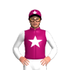 Jockey Silk
