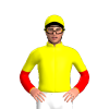 Jockey Silk