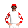 Jockey Silk