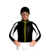 Jockey Silk