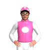 Jockey Silk