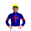Jockey Silk
