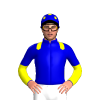Jockey Silk