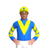 Jockey Silk