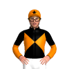Jockey Silk