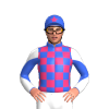 Jockey Silk