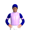 Jockey Silk