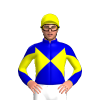 Jockey Silk