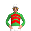 Jockey Silk