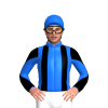 Jockey Silk