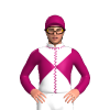 Jockey Silk