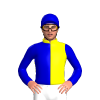 Jockey Silk