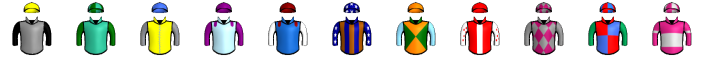 Runner silk