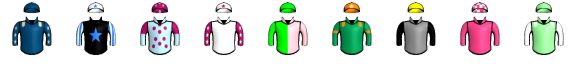 Runner silk