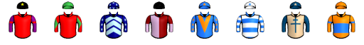 Runner silk