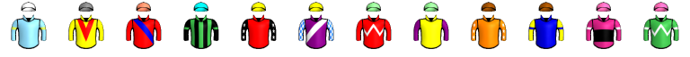 Runner silk