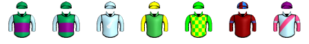Runner silk