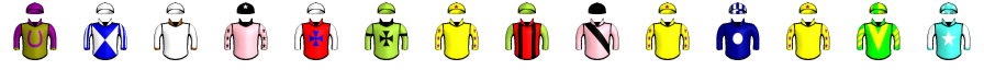 Runner silk
