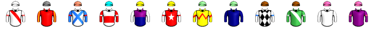 Runner silk