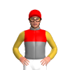 Jockey Silk