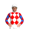Jockey Silk