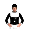 Jockey Silk