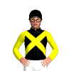 Jockey Silk