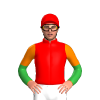Jockey Silk