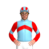 Jockey Silk