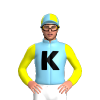 Jockey Silk