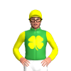 Jockey Silk