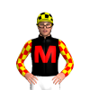 Jockey Silk