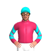Jockey Silk