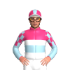 Jockey Silk