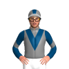 Jockey Silk