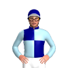 Jockey Silk