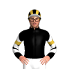 Jockey Silk