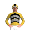 Jockey Silk