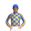 Jockey Silk