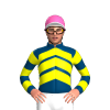 Jockey Silk