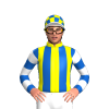 Jockey Silk