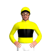 Jockey Silk